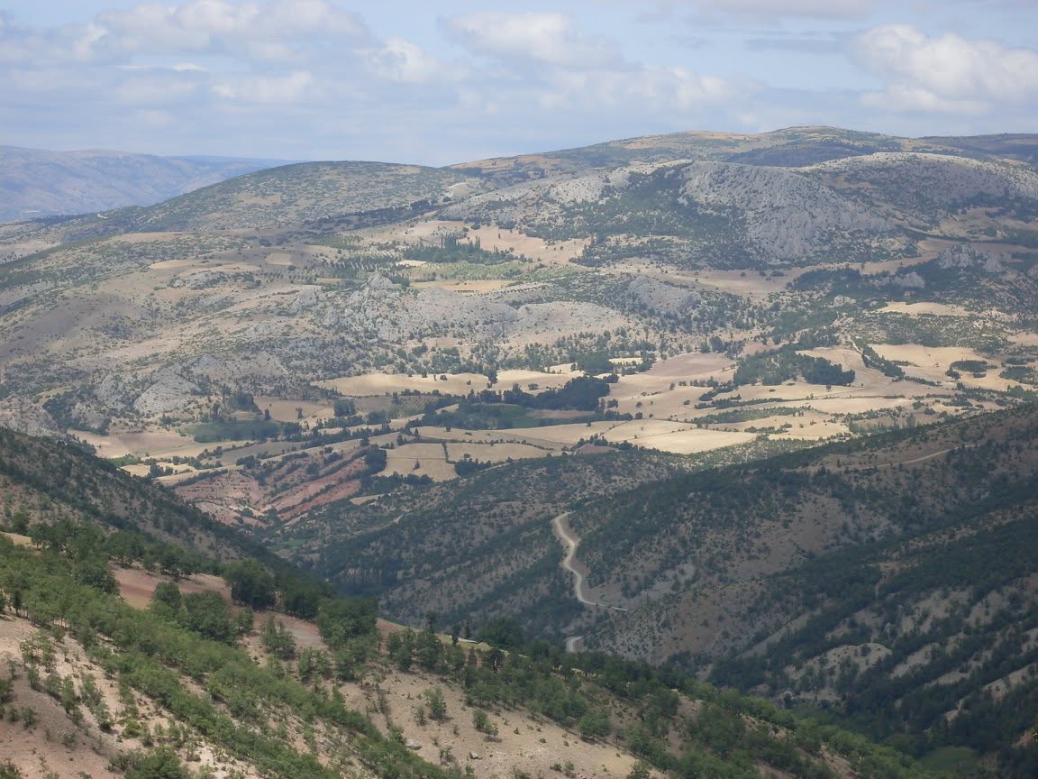 Manzara