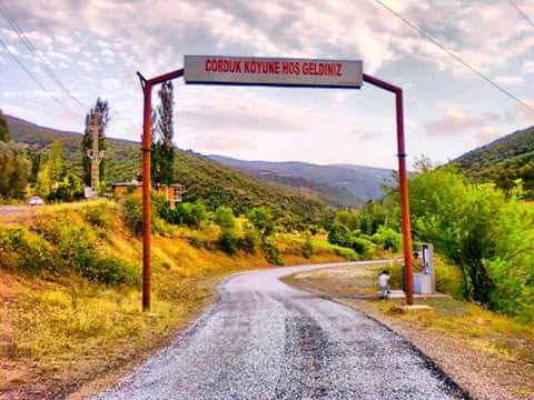 Giriş