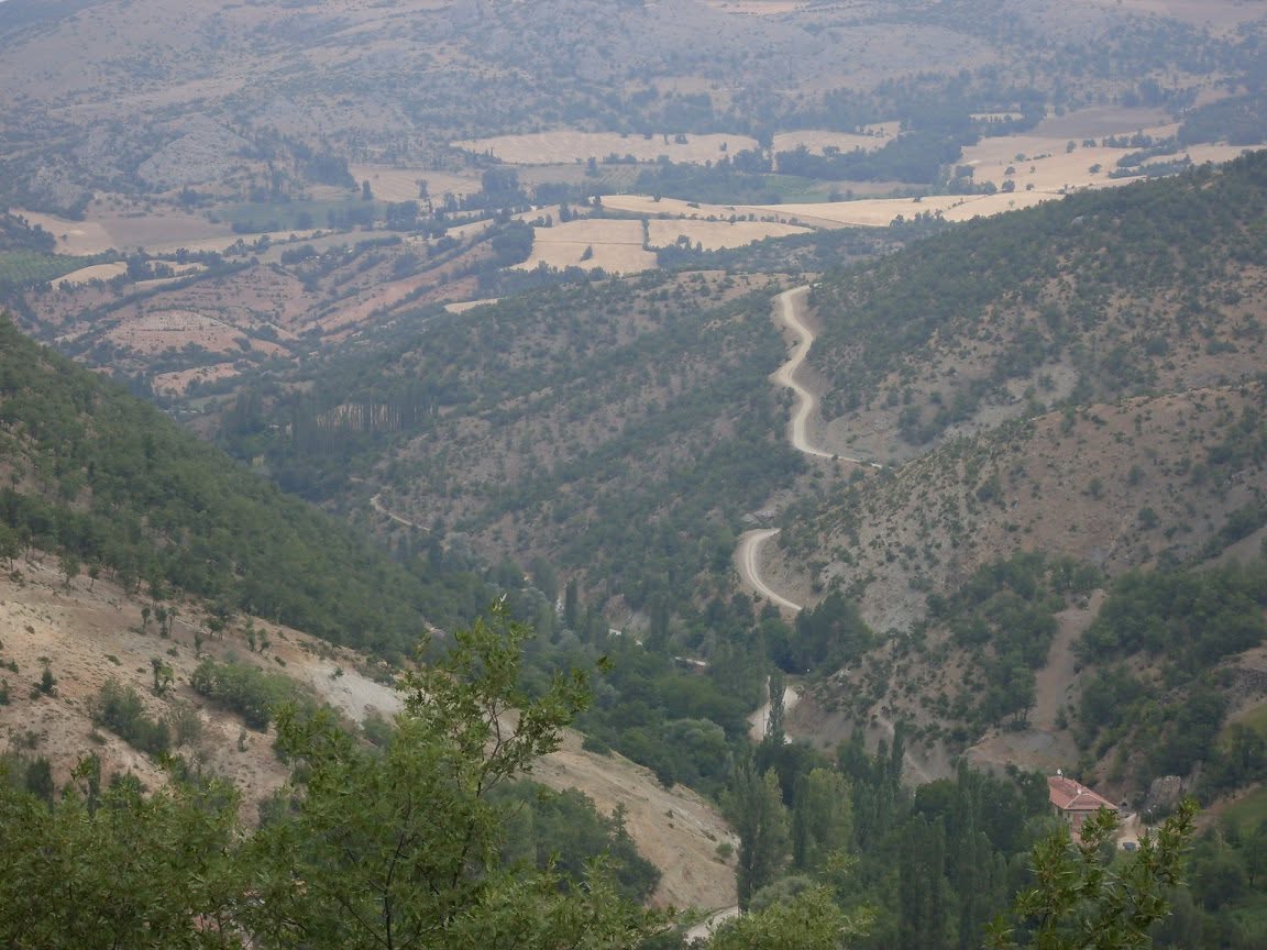 Manzara