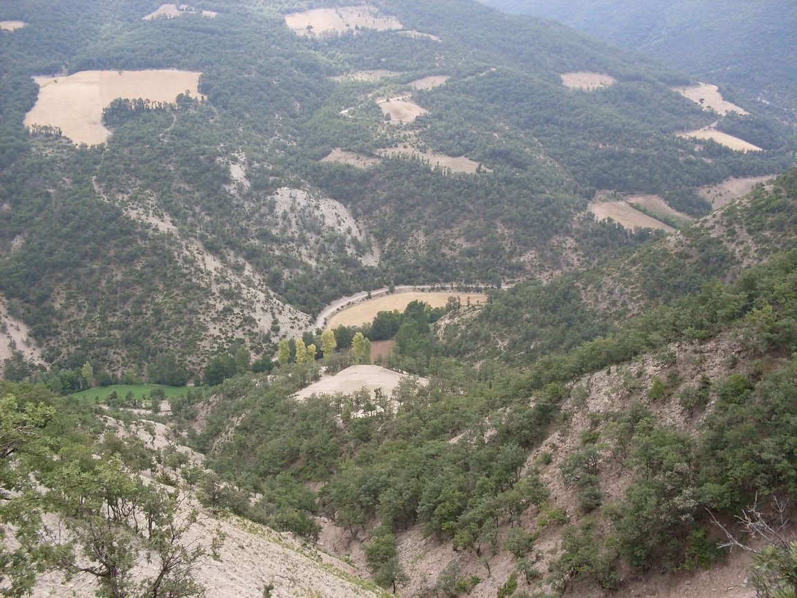 Manzara