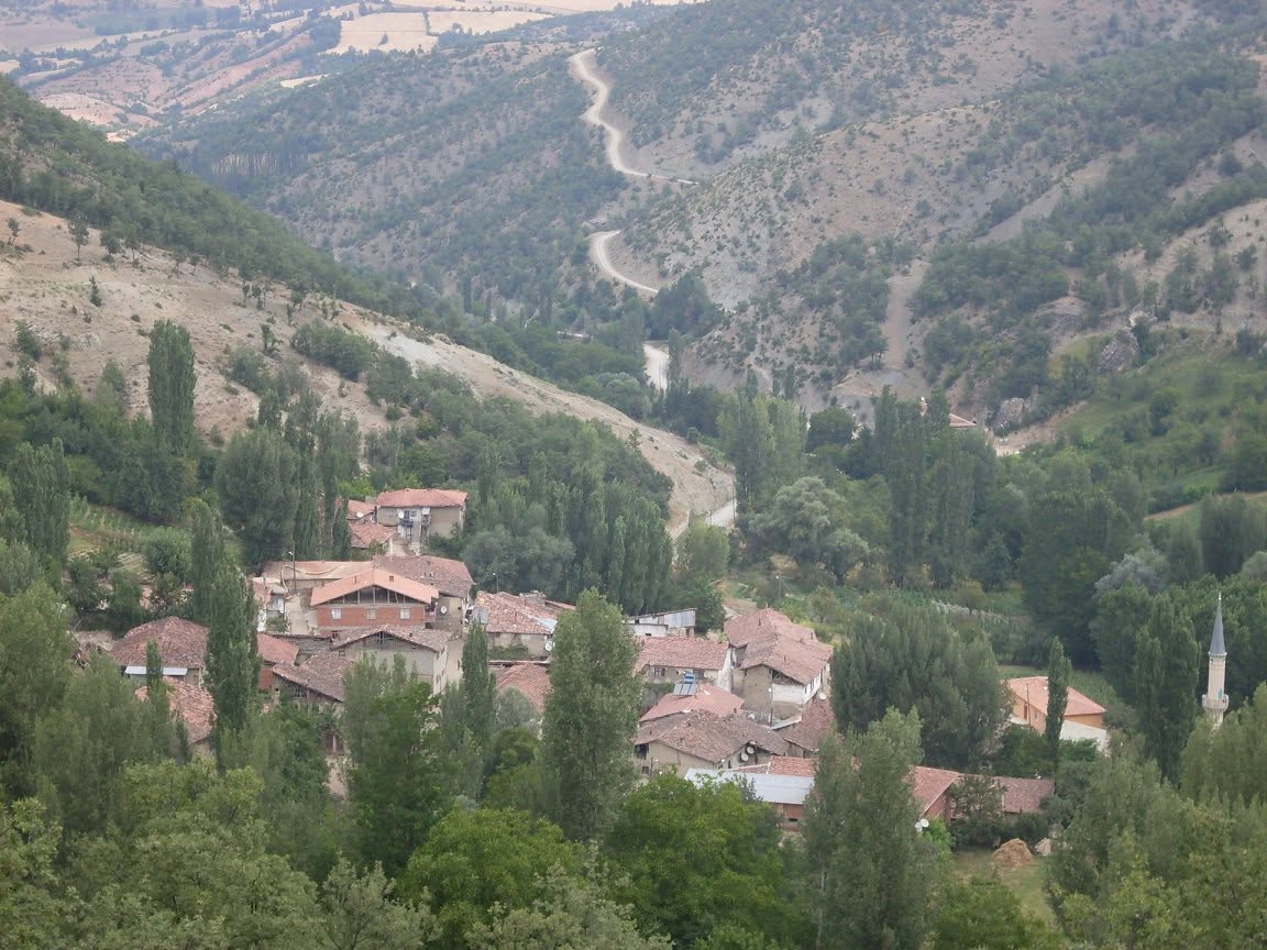 Manzara